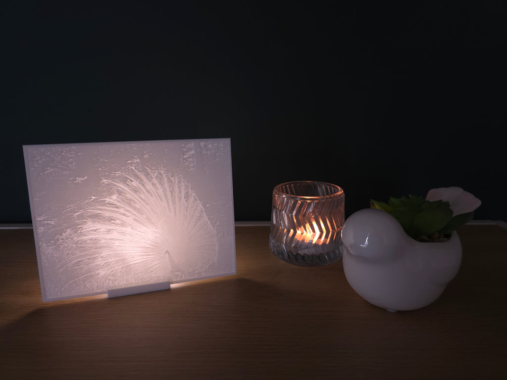 Lithophane met standaard - Witte pauw (verlicht)