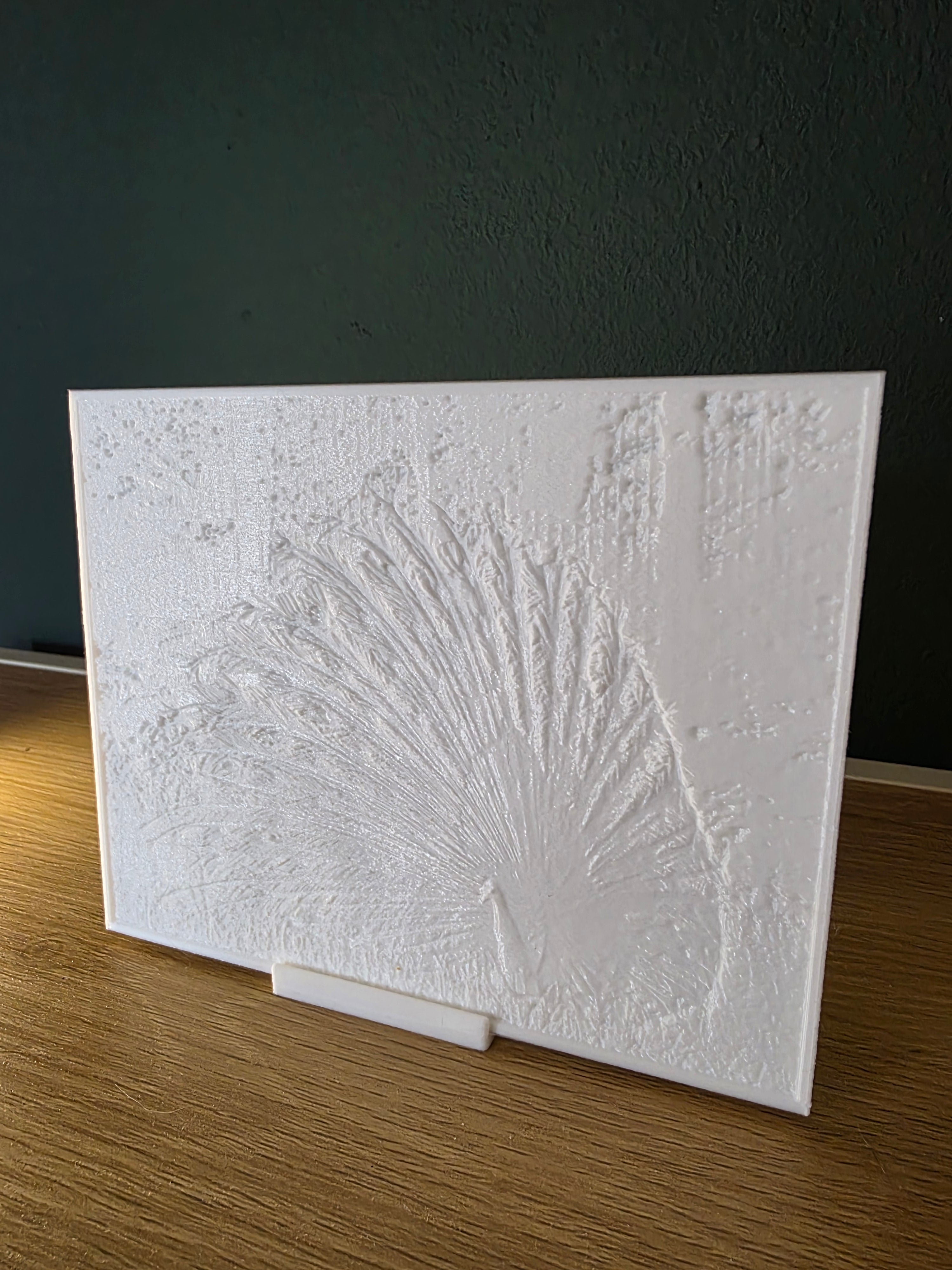 Lithophane met standaard - Witte pauw (verlicht)
