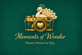 Translation missing: nl.Moments of Wonder  accessibility.home
